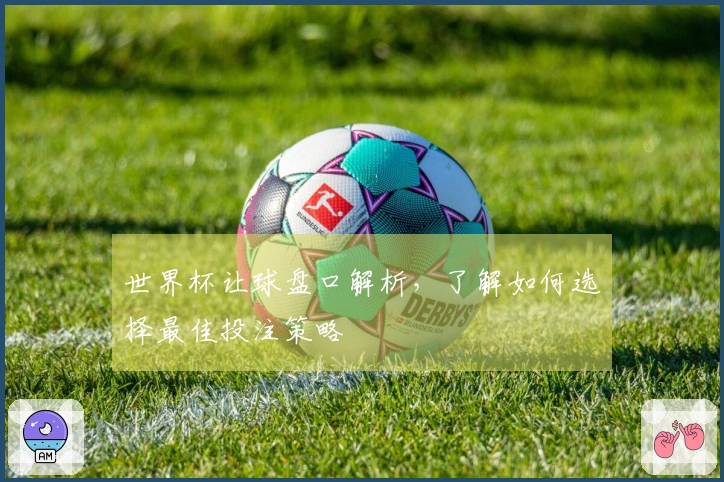 世界杯让球盘口解析，了解如何选择最佳投注策略