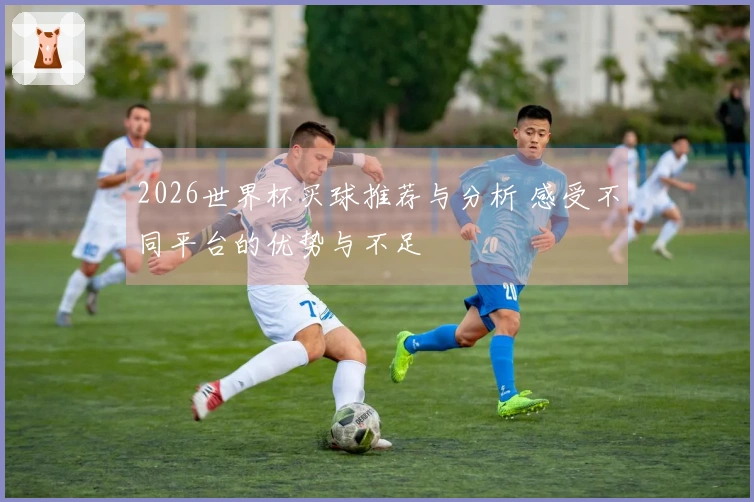 2026世界杯买球推荐与分析 感受不同平台的优势与不足