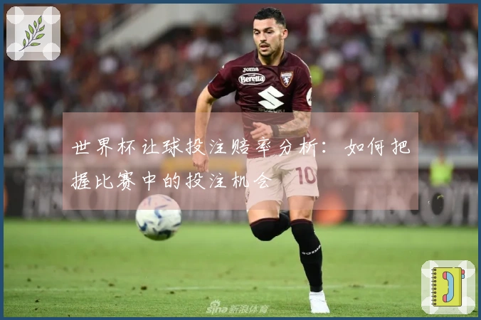 世界杯让球投注赔率分析：如何把握比赛中的投注机会