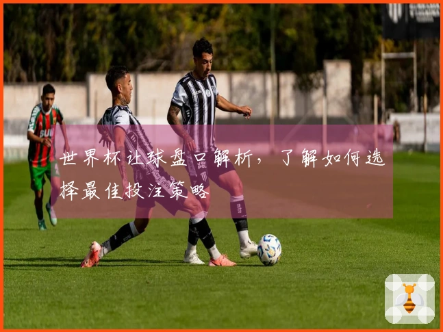 世界杯让球盘口解析，了解如何选择最佳投注策略